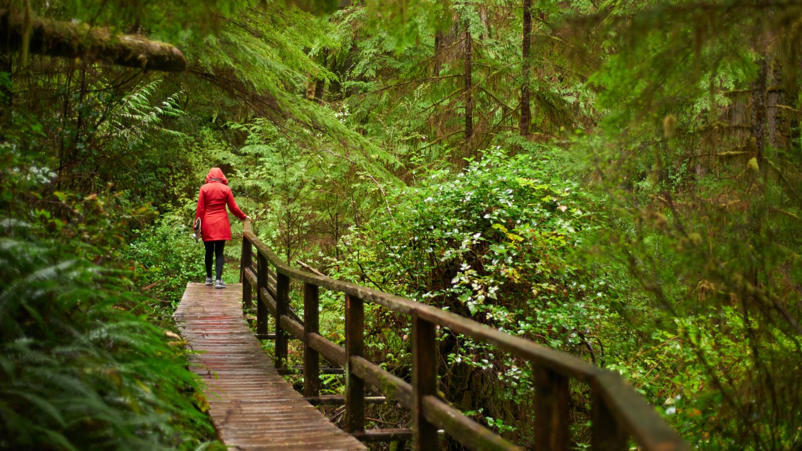 Community Csl and Consulting Services Life Recovery Centers